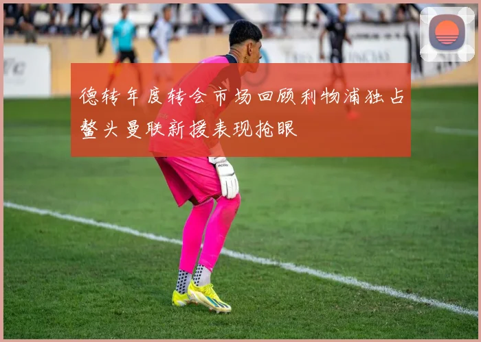 德转年度转会市场回顾利物浦独占鳌头曼联新援表现抢眼